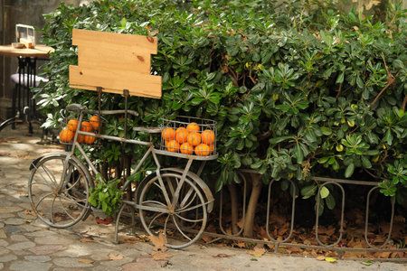Isolated concept image for creating a background: a bicycle with a basket of oranges and an blank writing boardの写真素材