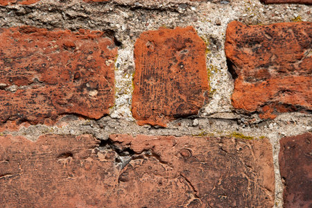 Isolated old brick wall for creating a design background