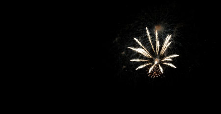 Night landscape with bright fireworks in the black skyの写真素材