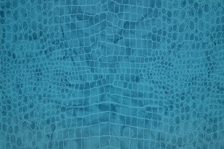Natural crocodile leather, close-up, isolated background for design
