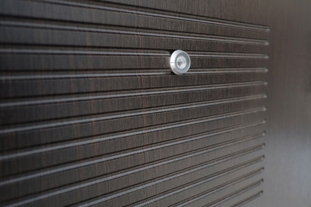 Metal entrance door part: isolated wooden surface and a peepholeの写真素材