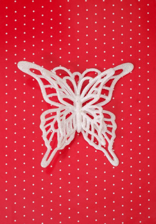 White butterfly for Christmas decorations isolated on a red backgroundの写真素材