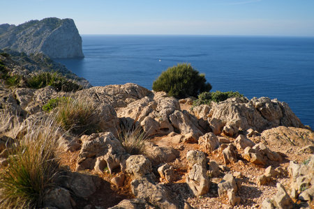 View of the sea bay from a high cliff on a sunny summer dayの写真素材