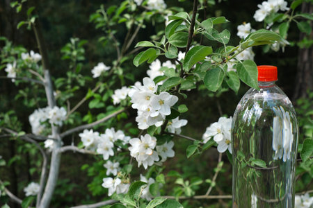 Water bottle in a blooming garden. Package designの写真素材