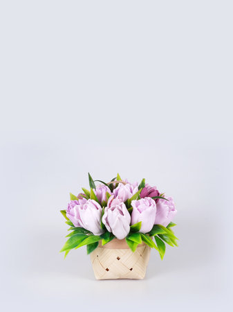 Greeting card template. Basket with tulips isolated on a white backgroundの写真素材