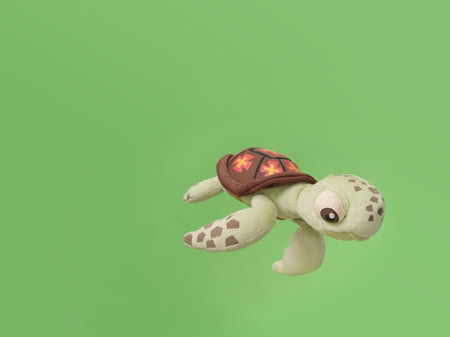 Children's soft toy (turtle) isolated on green backgroundの写真素材