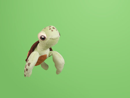 Children's soft toy (turtle) isolated on green background