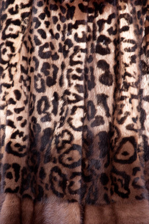 Natural fur (expensive mink fur isolated background)