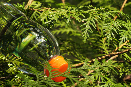 Water bottle against the background of a green forest. Package designの写真素材