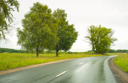 Summer European landscape after rain with wet road