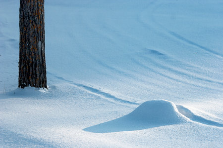 Winter landscape with a tree trunk and a small snowdriftの写真素材