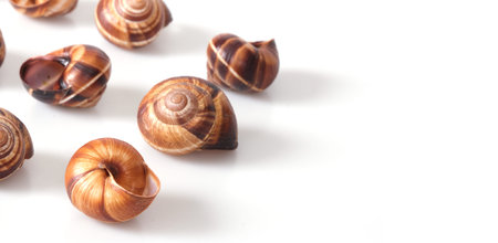 Stack of a dozen grape snails isolated on white background