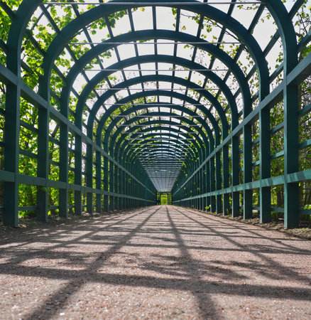 Petrodvorets (Peterhof, St. Petersburg, Russia). Spring view of the historic berceau gallery in Peterhof Upper Parkの写真素材