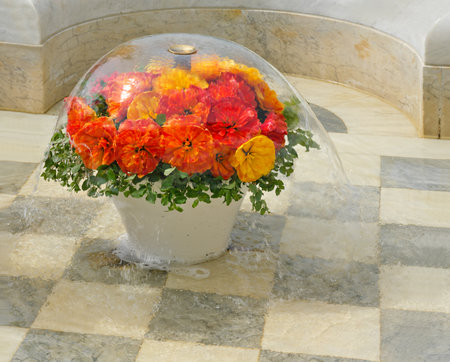 Fountain-Cloche with floral arrangement at Tsaritsyn Pavilion, Petrodvorets (Peterhof, St. Petersburg, Russia), cascading water on mosaic floor, imperial garden luxuryの写真素材