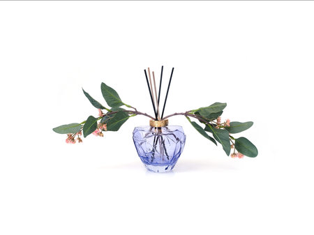 Lilac heart-shaped aromatic glass diffuser isolated on white background, cutout ready