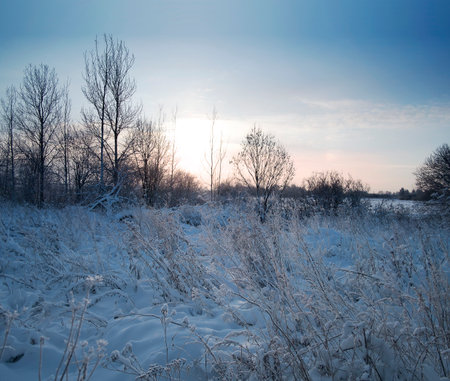 Winter snowy landscape in a field with setting sunの写真素材