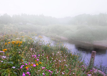 Serene misty river valley at sunrise with wildflowers in the foregroundの写真素材