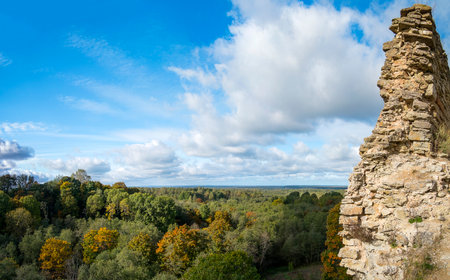 View from the fortress wall over the forest in Koporye, Russiaの写真素材