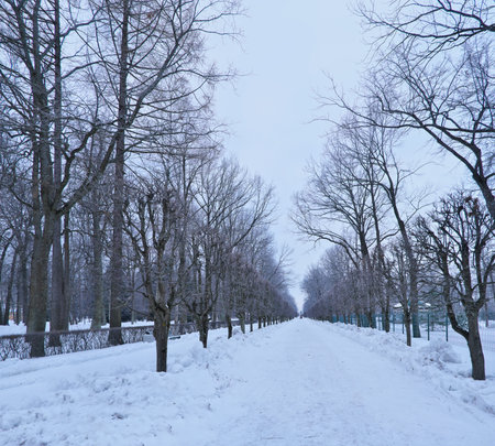 View of the monument on Marlinskaya Alleye (Peterhof, St. Petersburg) in winterの写真素材