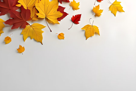 Autumn leaves on white background, top view. Space for textの素材