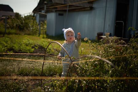 A small child stands in the garden. Girl holding in the hands of a tomatoの写真素材