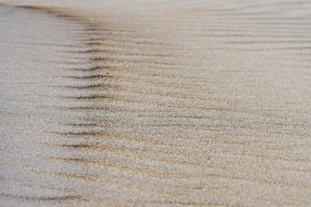 Awesome background of sand .Summer beach close up view, wind formed reliefの写真素材