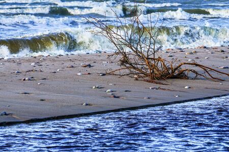 Baltic Sea coast, small river mouth into the seaの写真素材