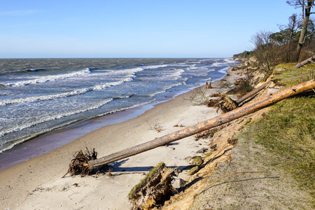 erosion of the Baltic Sea coast by strong winds, environmental problem