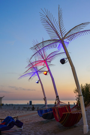 romantic summer evening by the Baltic Sea with imitative palms in the foregroundの写真素材