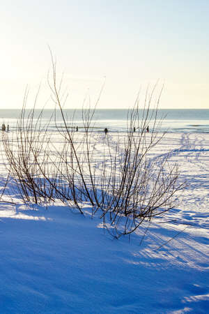 landscape on a sunny winter day on the Baltic coastの写真素材