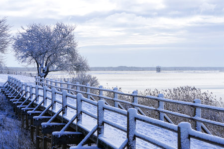 snowy wooden footbridge walking trail on the lakeshore in winterの写真素材
