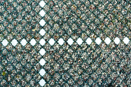 new modern car park gravel base with installed green plastic grid and white plastic linesの写真素材