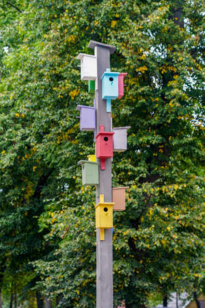 many wooden bird cages of different colors on a wooden pole, green foliage backgroundの写真素材