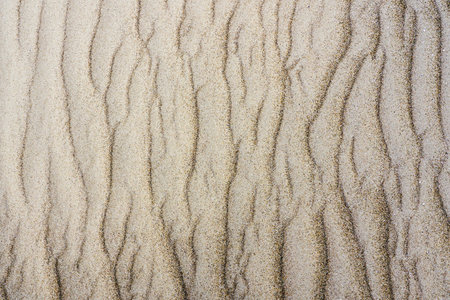 natural picturesque sandy relief by the sea, created by wind and water