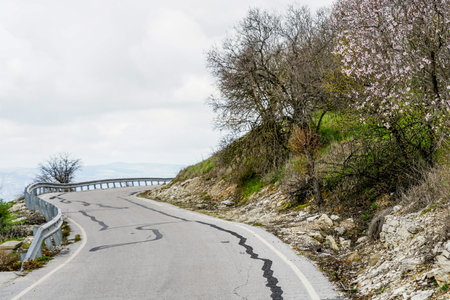 Traditional Cyprus landscape in spring with flowering apricots by dangerous road bend with metal...