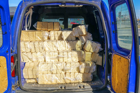 Packages of wood sawdust briquettes loaded in a car, alternative fuel, eco fuel, bio fuel with good heat outputの写真素材