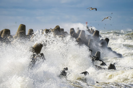 Storm at sea, high waves crashing against the concrete breakwaters of the port, white splashes, seagulls flying, hurricane storm, power of natureの写真素材
