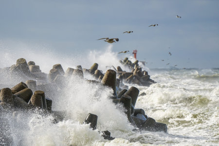 Storm at sea, big waves crashing against the concrete breakwaters of the port with high white splashes, seagulls flying, breaking waves, nature powerの写真素材