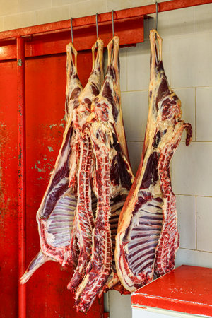 Dried pig carcasses cut in half hang on the hooks in a butcher shop, Split, Croatiaの写真素材