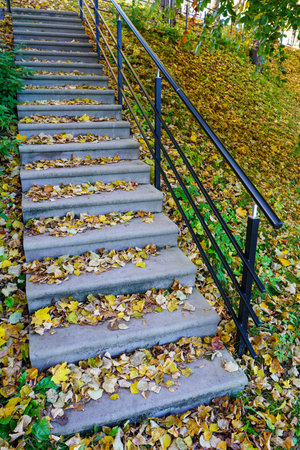 Concrete steps covered with thick layer of fallen yellow leaves in autumn, autumnal scene in city...