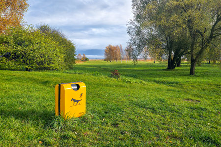 Yellow dog waste bin in a green grassy park field with autumn trees and cloudy sky in Latvia, symbolizing cleanliness, environment, and responsibilityの写真素材