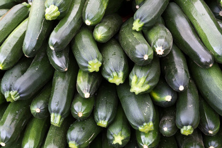 Zuchini squash on display at the farmer's marketの写真素材