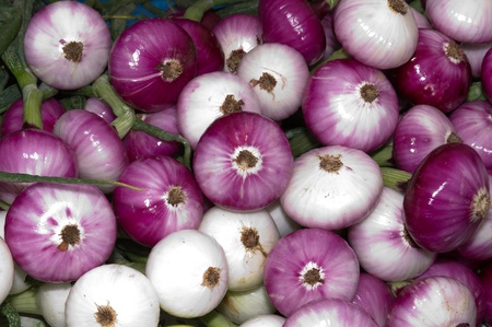 Onions on display at the farmer's marketの写真素材