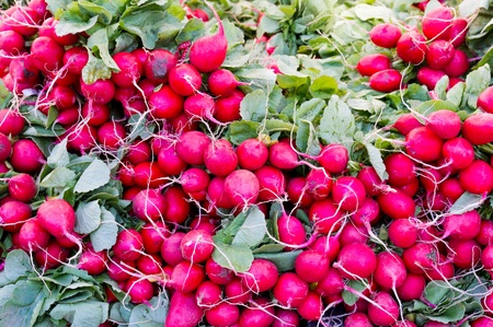 Radishes on display at the farmer's marketの写真素材