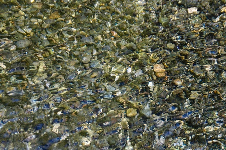 Rippled background showing pebbles through clear waterの写真素材