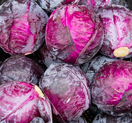 Fresh picked red cabbage on display at the farmerの写真素材