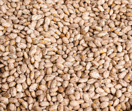Dried beans on display at the farmer