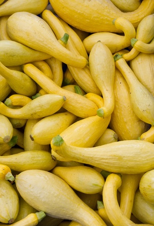 Yellow or crook neck squash on display at the farmerの写真素材