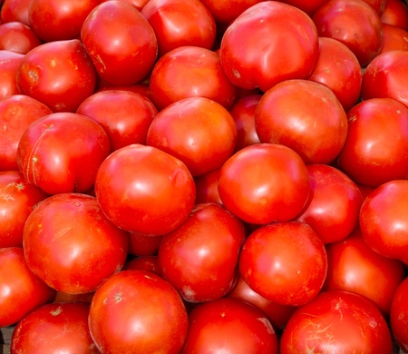 Freshly harvested red ripe tomatoes on display at the farmerの写真素材