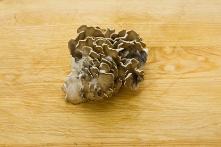Fresh Maitake mushrooms on wooden table ready to cookの写真素材
